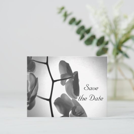 Orchideen auf Stem Wedding Save the Date Ankündigungspostkarte (Stehend Vorderseite)