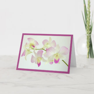 Orchideen auf Weiß, glücklich zum Geburtstag! Karte