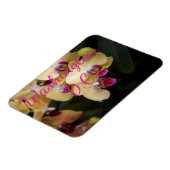 Orchideen aus Rosa und Gelb, Washington, D.C. Magnet (Linke Seite)