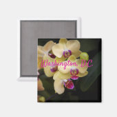 Orchideen aus Rosa und Gelb, Washington, D.C. Magnet (Vorderseite/Rückseite)