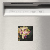 Orchideen aus Rosa und Gelb, Washington, D.C. Magnet (In Situ (Geschirrspüler))