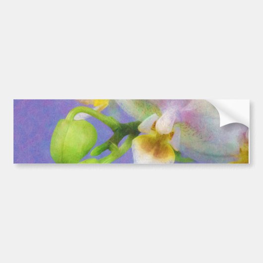 Orchideen Autoaufkleber (Vorne)