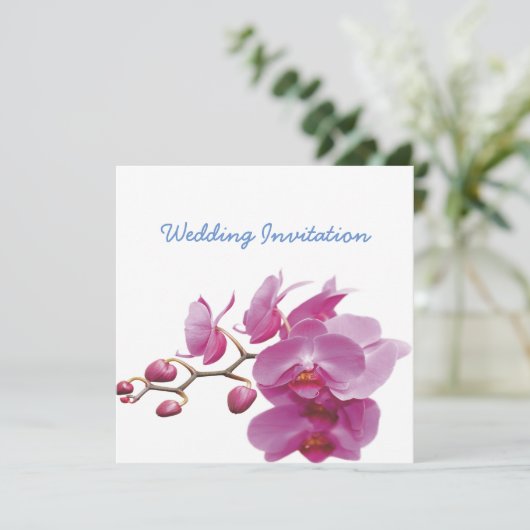 Orchideen-billige Hochzeit verpackt Einladung (Stehend Vorderseite)