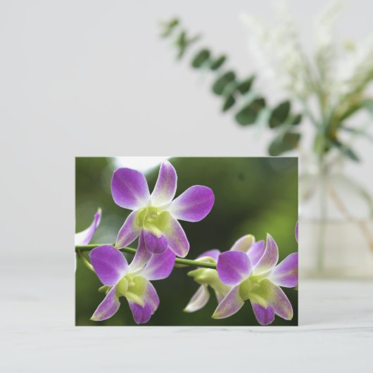 Orchideen Bloom Postkarte (Stehend Vorderseite)