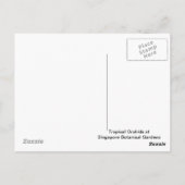 Orchideen Bloom Postkarte (Rückseite)