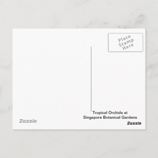 Orchideen Bloom Postkarte (Rückseite)