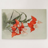 Orchideen Blühen Blume Vintag Alte Illustration Puzzle (Horizontal)
