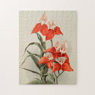 Orchideen Blühen Blume Vintag Alte Illustration Puzzle