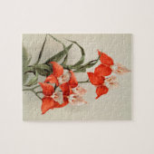 Orchideen Blühen Blume Vintag Alte Illustration Puzzle (Horizontal)