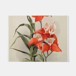 Orchideen blühen Blume Vintage Alte Illustration Fußmatte