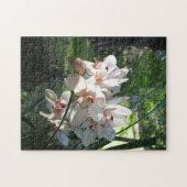 Orchideen blühen im Frühlingspuzzle Puzzle (Horizontal)