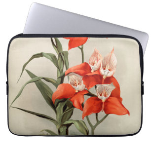 Orchideen blühende Blume Vintage alte Illustration Laptopschutzhülle