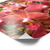 Orchideen-Blume-Fotos Fotodruck (Ecke)
