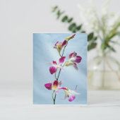 Orchideen-Blume in Singapur Postkarte (Stehend Vorderseite)