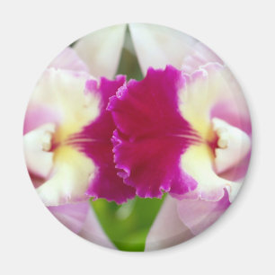 Orchideen-Blume Magnet