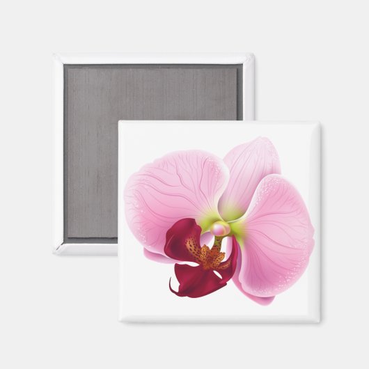Orchideen-Blume Magnet (Vorderseite/Rückseite)