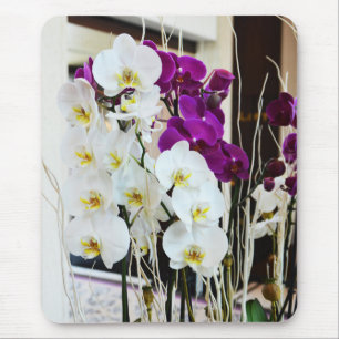 Orchideen-Blume Mousepad