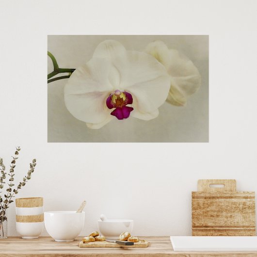 Orchideen-Blume Nahe Kunst Poster (Küche)