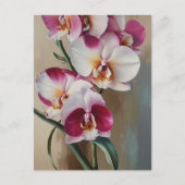 Orchideen-Blume Postkarte (Vorderseite)
