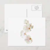 Orchideen-Blume Postkarte (Vorne/Hinten)