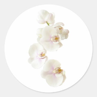 Orchideen-Blume Runder Aufkleber