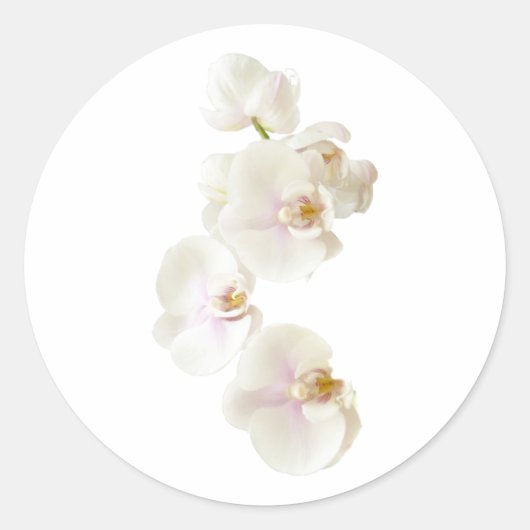 Orchideen-Blume Runder Aufkleber (Vorderseite)