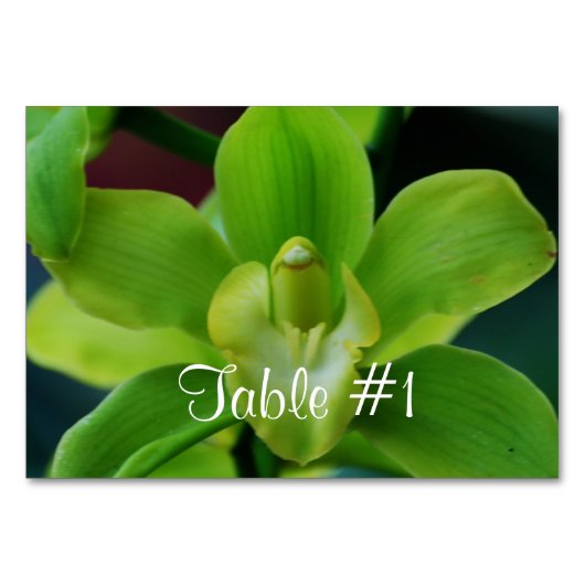 Orchideen-Blume Tischnummer (Vorderseite)