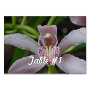Orchideen-Blume Tischnummer