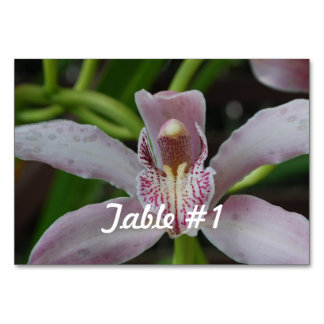 Orchideen-Blume Tischnummer