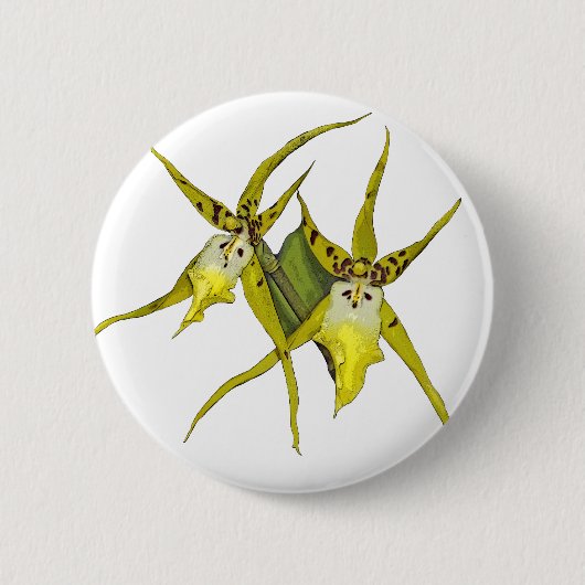 Orchideen-Blumen Button (Vorderseite)
