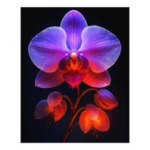 Orchideen Blüte im Strahlendem Licht Fotodruck