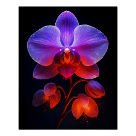 Orchideen Blüte im Strahlendem Licht Poster
