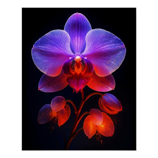 Orchideen Blüte im Strahlendem Licht Poster (Vorderseite)