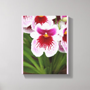 Orchideen Blüten Elegant Chic Mod Leinwanddruck