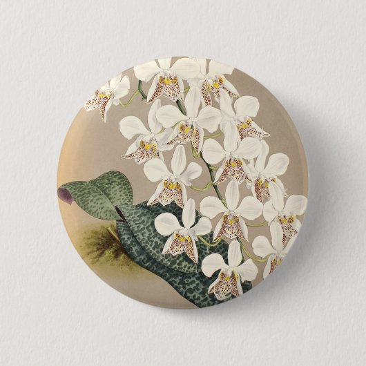 Orchideen Button (Vorderseite)