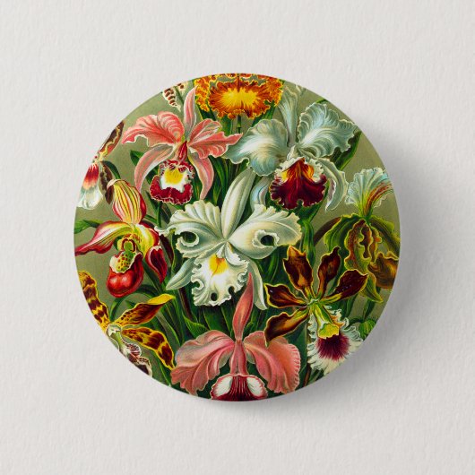 Orchideen Button (Vorderseite)