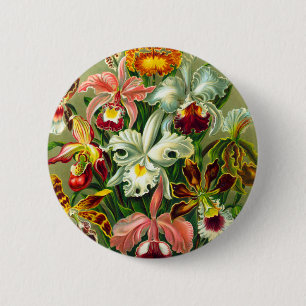 Orchideen Button