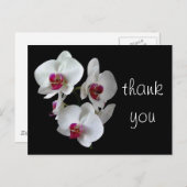 Orchideen: Danke! Postkarte (Vorne/Hinten)