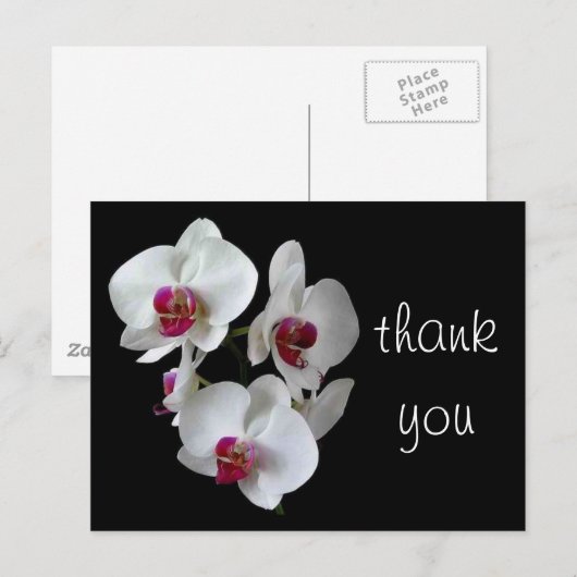 Orchideen: Danke! Postkarte (Vorne/Hinten)