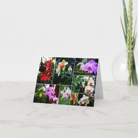 Orchideen Dankeskarte (Vorderseite)