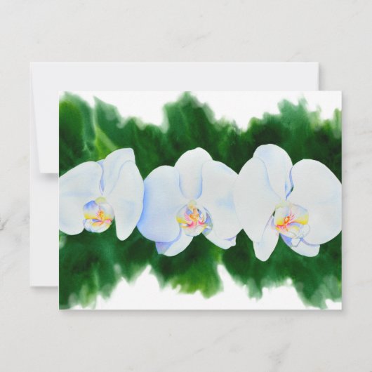 Orchideen Dankeskarte (Rückseite)