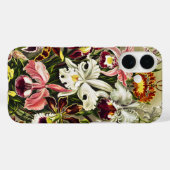 Orchideen Denusblumen Ernst Haeckel Case-Mate iPhone Hülle (Rückseite (Horizontal))