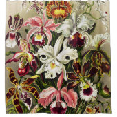 Orchideen Denusblumen Ernst Haeckel Duschvorhang (Vorderseite)