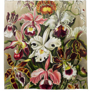 Orchideen Denusblumen Ernst Haeckel Duschvorhang