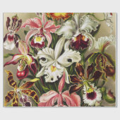 Orchideen Denusblumen Ernst Haeckel Geschenkpapier (Flach)