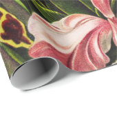 Orchideen Denusblumen Ernst Haeckel Geschenkpapier (Rolleneckpunkt)