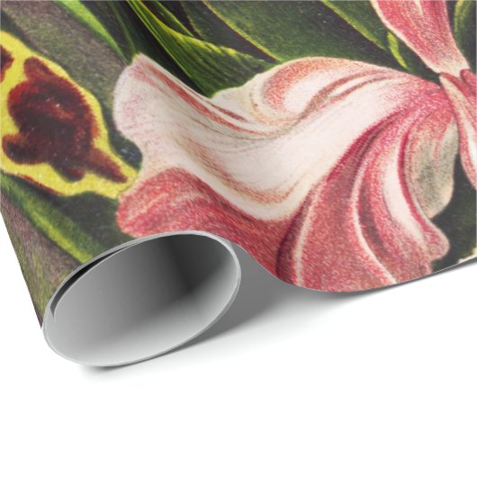 Orchideen Denusblumen Ernst Haeckel Geschenkpapier (Rolleneckpunkt)