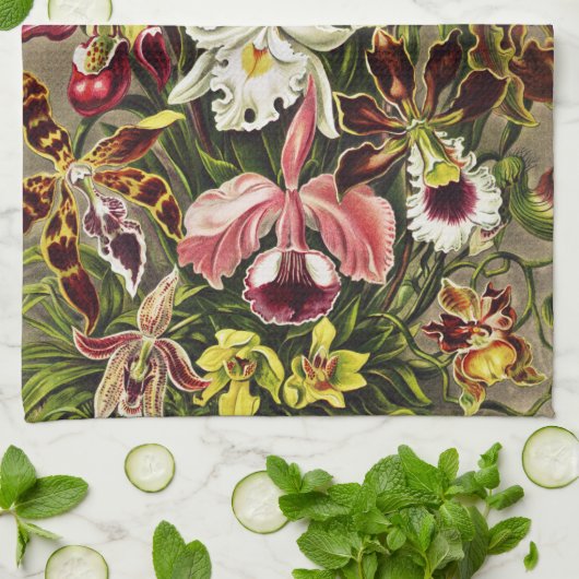 Orchideen Denusblumen Ernst Haeckel  Geschirrtuch (Gefaltet)