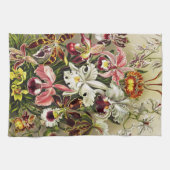 Orchideen Denusblumen Ernst Haeckel Geschirrtuch (Horizontal)