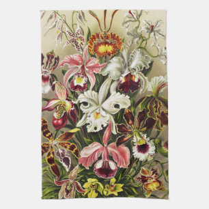 Orchideen Denusblumen Ernst Haeckel  Geschirrtuch